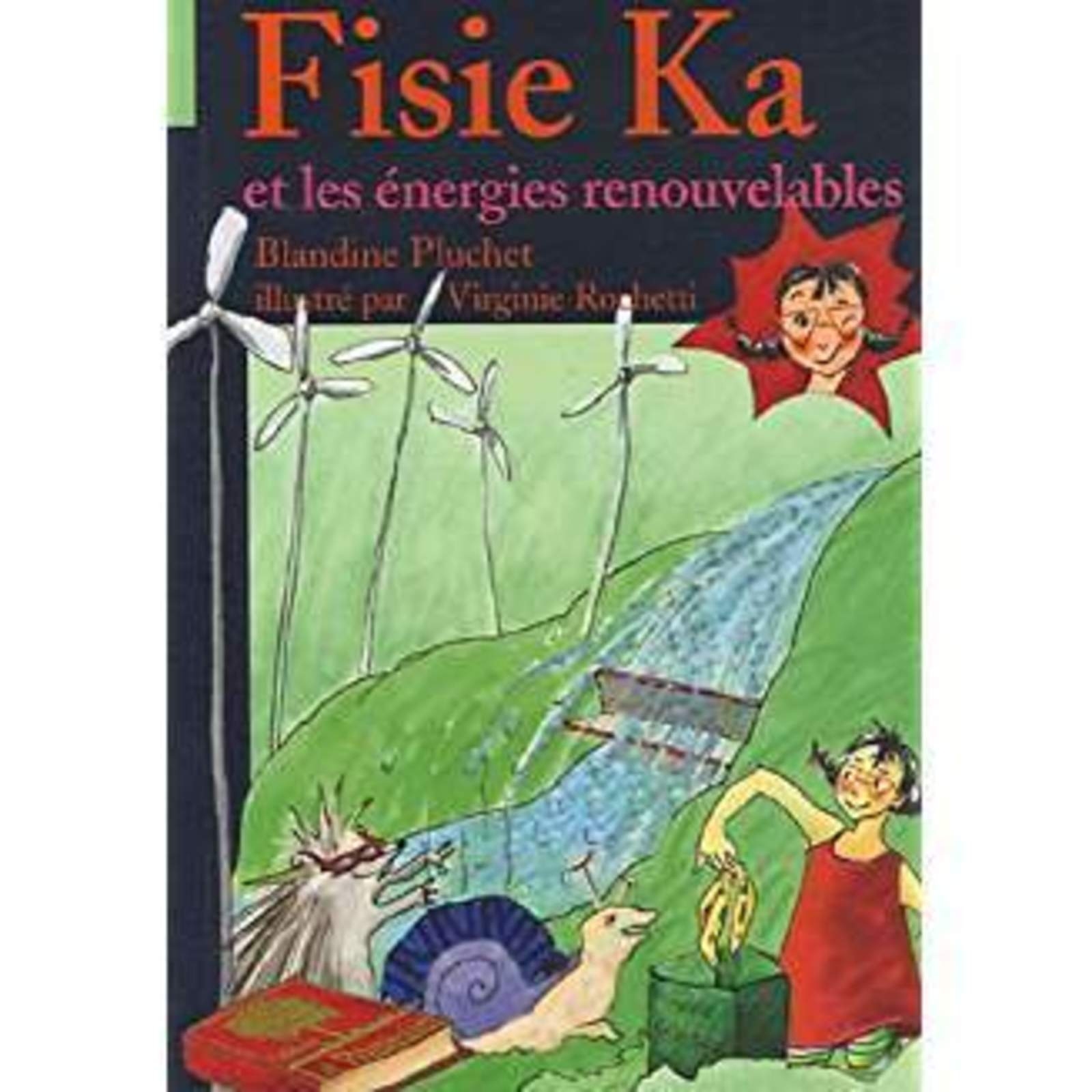 Fisie Ka et les énergies renouvelables