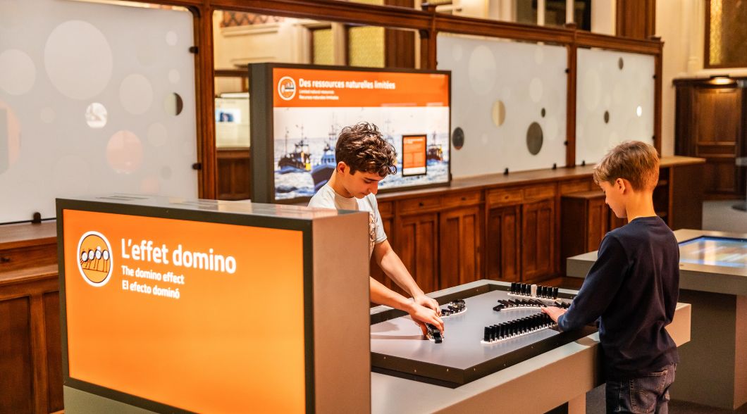 Mes premiers pas en économie